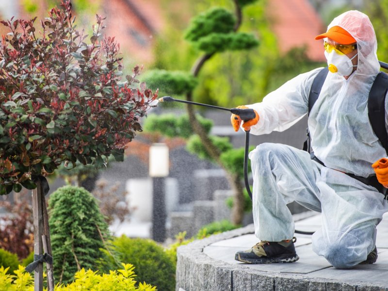 Güney Haşere İlaçlama